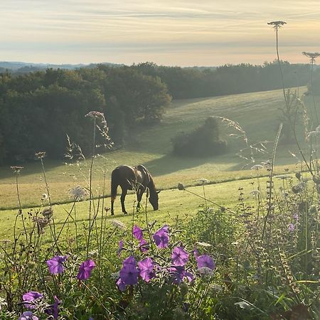 Domaine De Cazal - Gite 2 Pers Avec Piscine Au Coeur De 26 Hectares De Nature Preservee Villa Saint-Cyprien  Kültér fotó