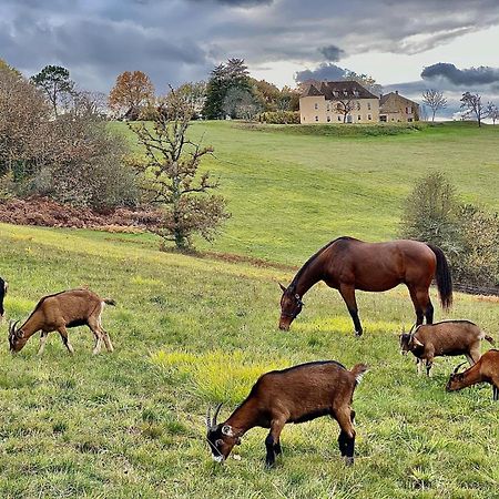 Domaine De Cazal - Gite 2 Pers Avec Piscine Au Coeur De 26 Hectares De Nature Preservee Villa Saint-Cyprien  Kültér fotó