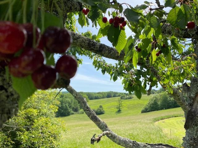 Domaine De Cazal - Gite 2 Pers Avec Piscine Au Coeur De 26 Hectares De Nature Preservee Villa Saint-Cyprien  Kültér fotó