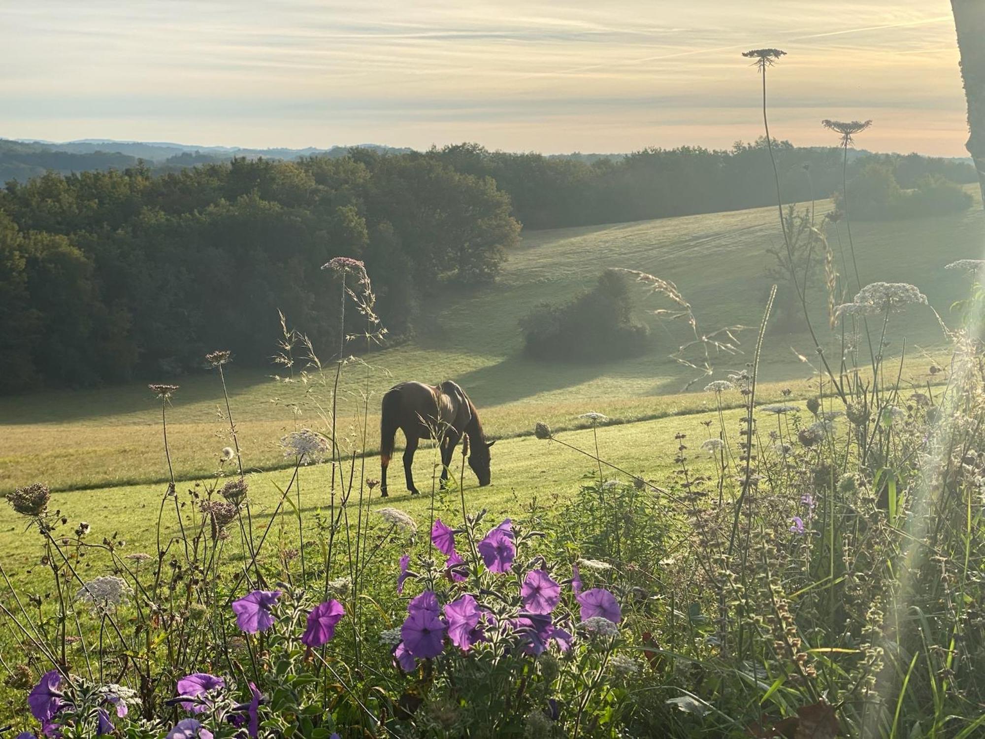 Domaine De Cazal - Gite 2 Pers Avec Piscine Au Coeur De 26 Hectares De Nature Preservee Villa Saint-Cyprien  Kültér fotó